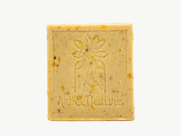 Shampoing solide anti Pelliculaire