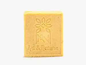 Shampoing solide cheveux Gras