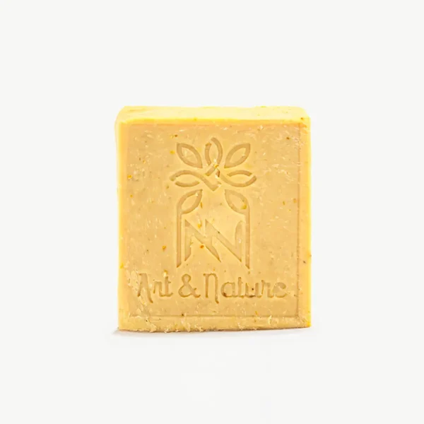 Shampoing solide cheveux Gras