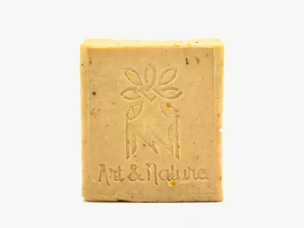 Shampoing solide cheveux secs