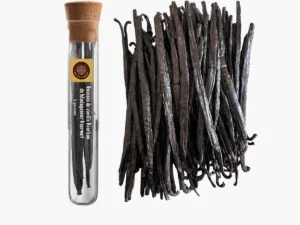 Gousses de Vanille Bourbon de Madagascar - Gourmet
