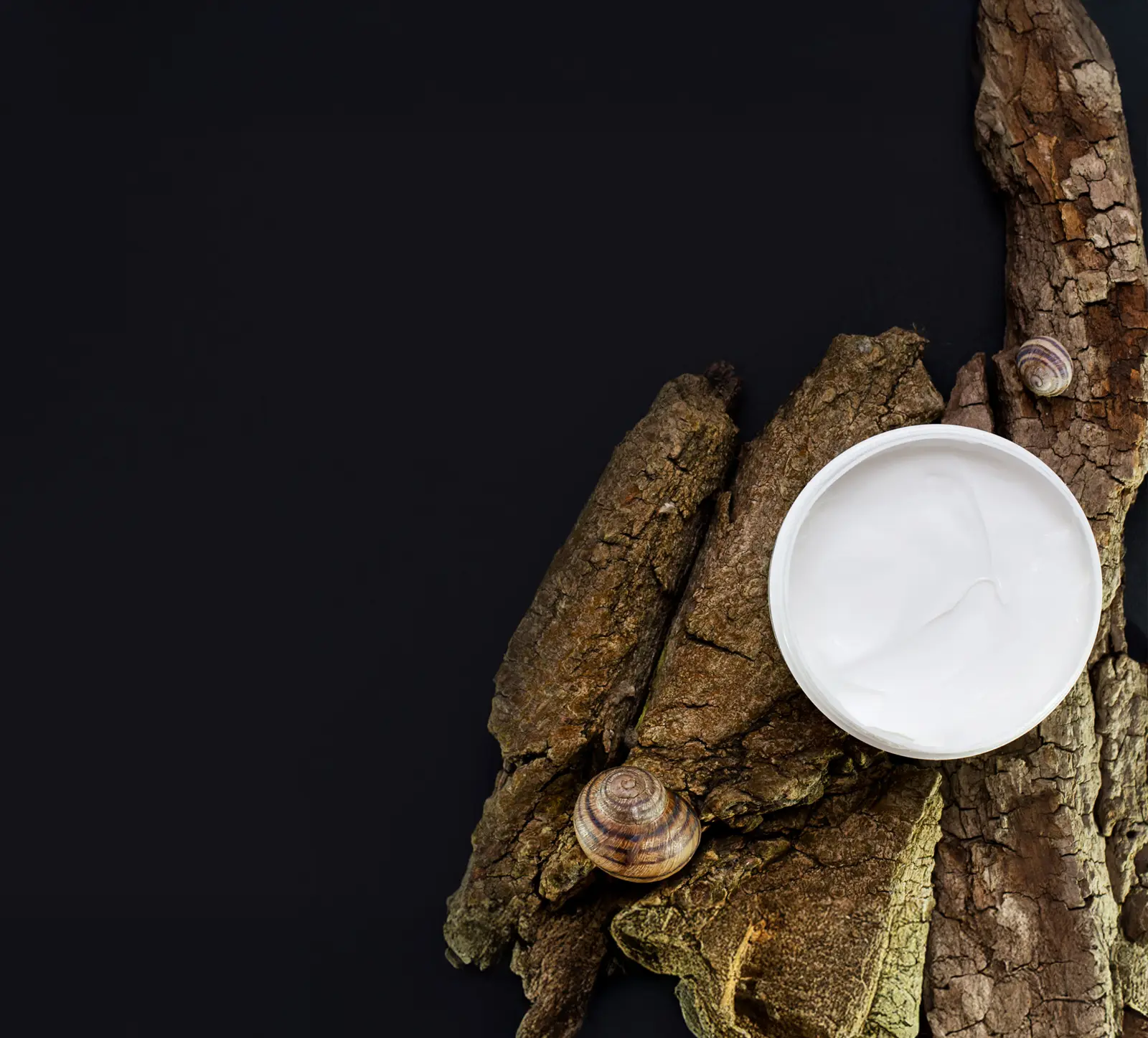 Expertise Artisanale