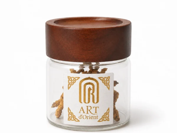 Grand Cordyceps du Tibet