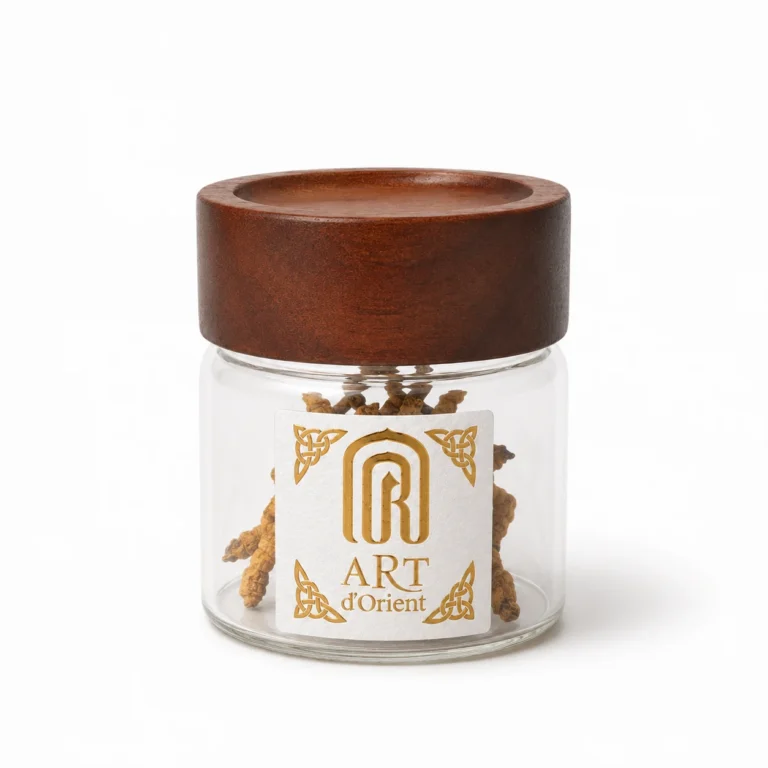 Grand Cordyceps du Tibet